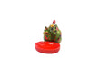 Pomme Pidou - Kip Matilde - Lepelhouder -s - Groen