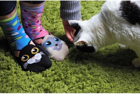 Odd Socks - 6 Dames Sokken - Catwalk - Maat 37-42
