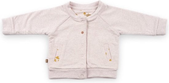 Frogs and Dogs Vestje Hearts Roze Mini